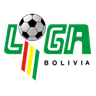 Primera División
