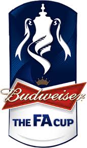 Pronostici FA Cup 15-02-2014 Pronostici FA Cup 15-02-2014