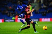 Pronostico Cardiff-Brighton 20/02/2016