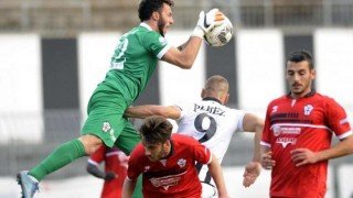 Pronostico Pro Vercelli-Ascoli 19/03/2016