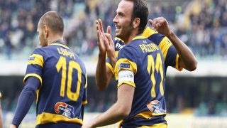 Pronostico Hellas Verona-Novara 13/11/2016 Pronostico Hellas Verona-Novara 13/11/2016
