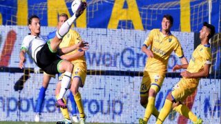 Pronostico Cesena-Frosinone 31/03/17 Pronostico Cesena-Frosinone 31/03/17