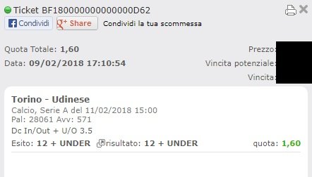 combo vincente torino-udinese