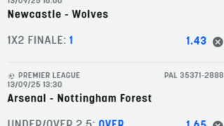 Scommesse vincenti 13-09-25