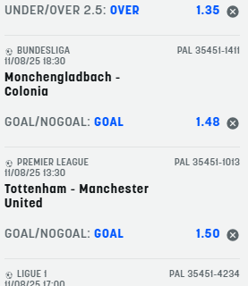 Scommesse vincenti 08-11-25 Scommesse vincenti 08-11-25